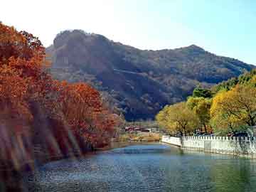 管家婆黑白马报图库，泰国减肥药副作用